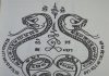 Bùa rắn có thật không