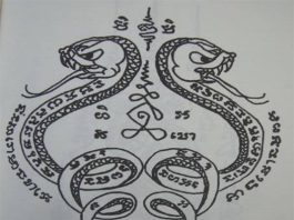 Bùa rắn có thật không? Cách sử dụng các loại bùa rắn phổ biến Bùa rắn có thật không