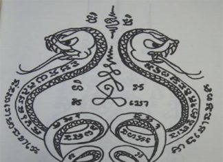 Bùa rắn có thật không