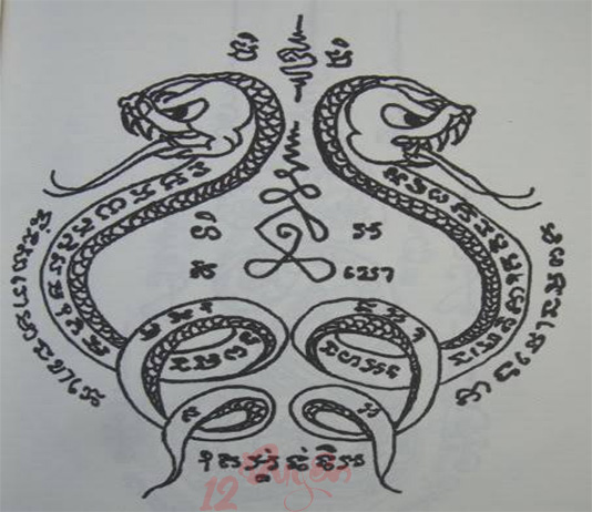 Bùa rắn có thật không