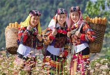 Dơi trong nghi lễ người dân tộc vùng cao