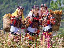 Dơi trong nghi lễ người dân tộc vùng cao