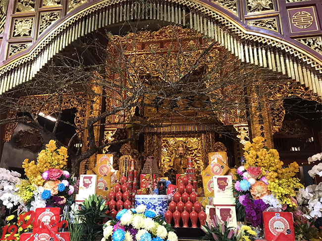 Ngày vía rắn 2