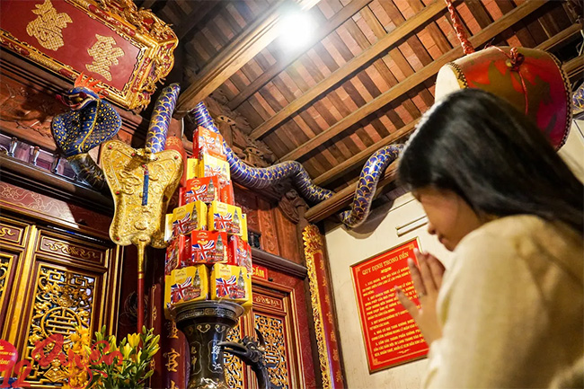 Ngày vía rắn 4