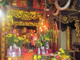 Ngày vía rắn