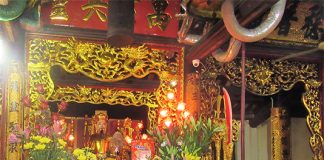 Ngày vía rắn