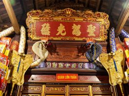 Tục thờ rắn
